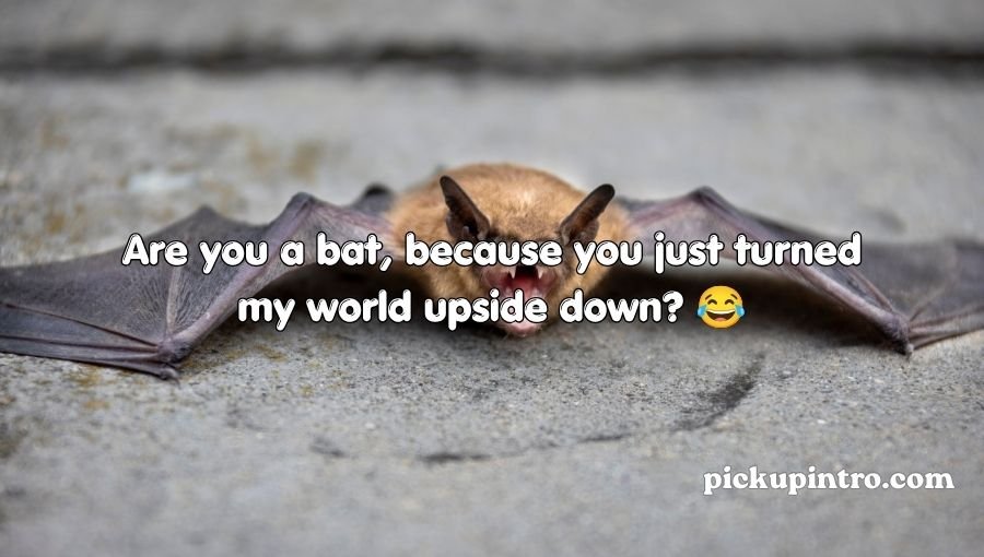 Bat collection with cute nighttime bat