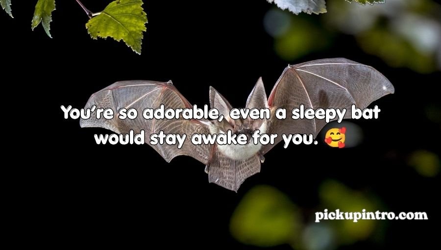 Bat Pickup Lines