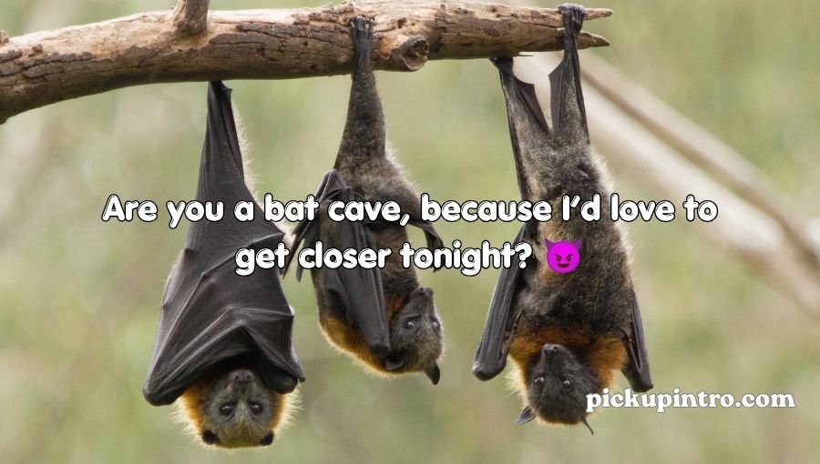 Cute bat collection with an adorable bat illustration