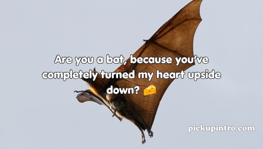 Bat Pickup Lines