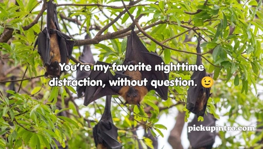 Bat Pickup Lines