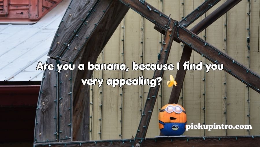 Minion Pick Up Lines