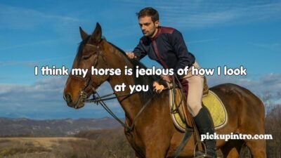 Cowboy Pick Up Lines