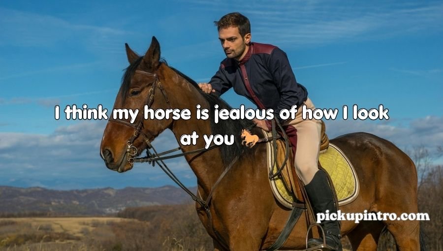Cowboy Pick Up Lines