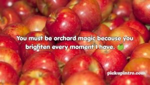 Apple Pick Up Lines