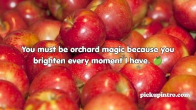 Apple Pick Up Lines
