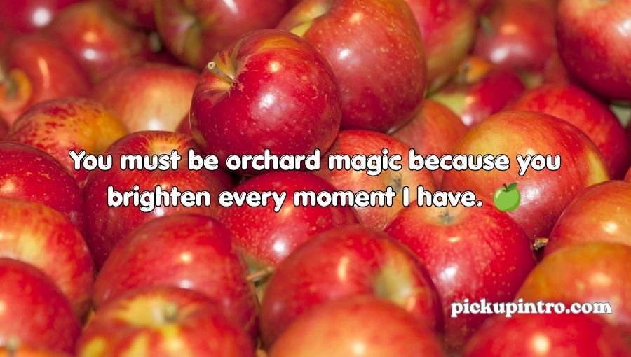 Apple Pick Up Lines