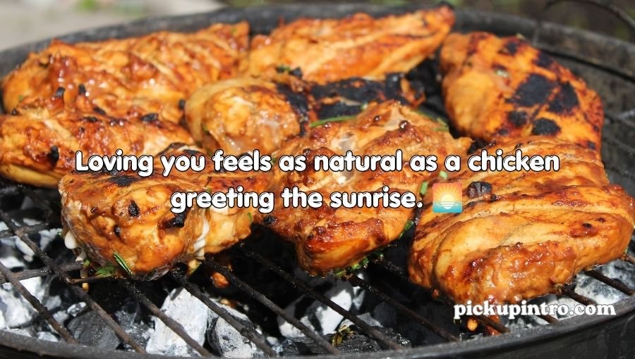 Chicken Pick Up Lines