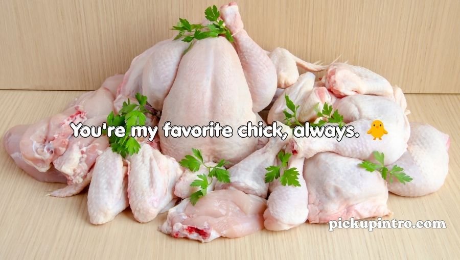 Chicken Pick Up Lines