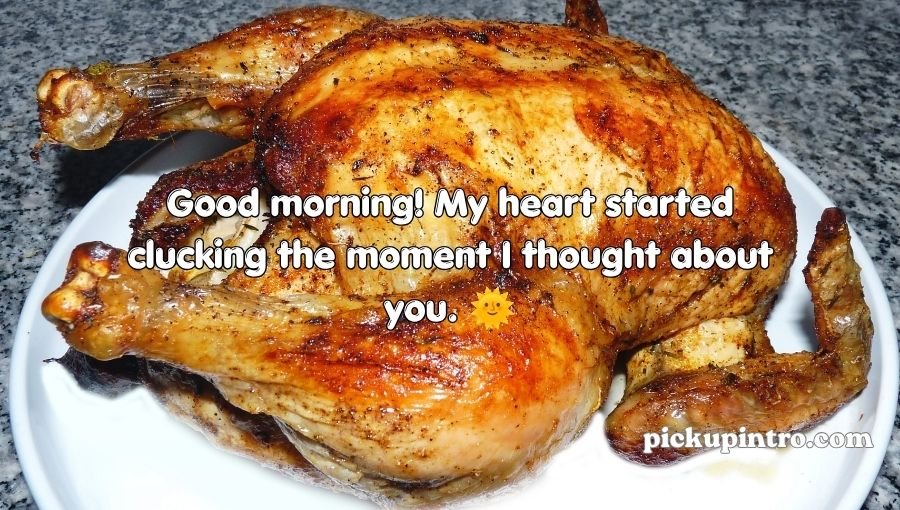 Chicken Pick Up Lines