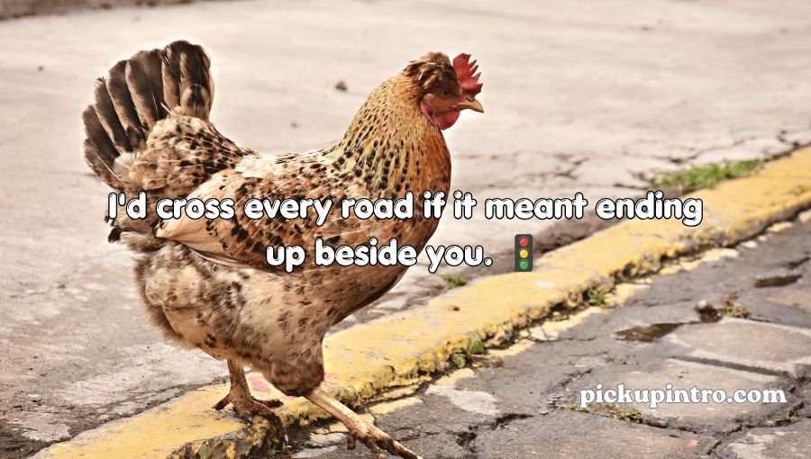 Chicken Pick Up Lines