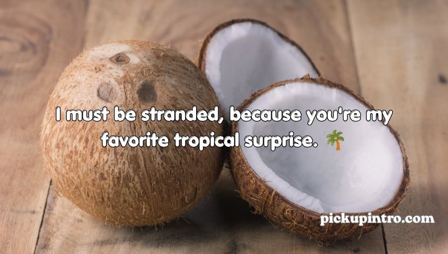 Coconut Pickup Lines