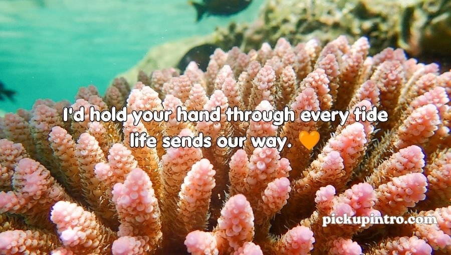 Coral Pickup Lines