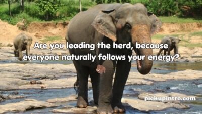 Elephant Pickup Lines