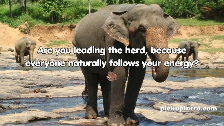 Elephant Pickup Lines