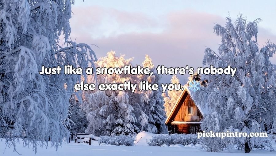 Snow Pick Up Lines