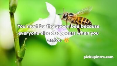 Bee Pick Up Lines