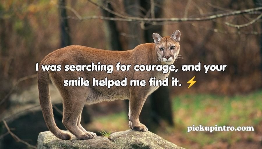 Cougar Pick Up Lines