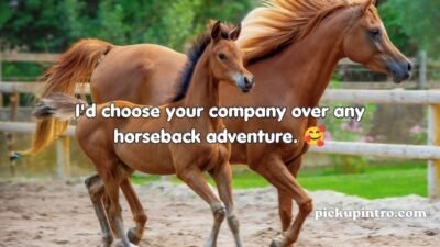 Horse Pick Up Lines
