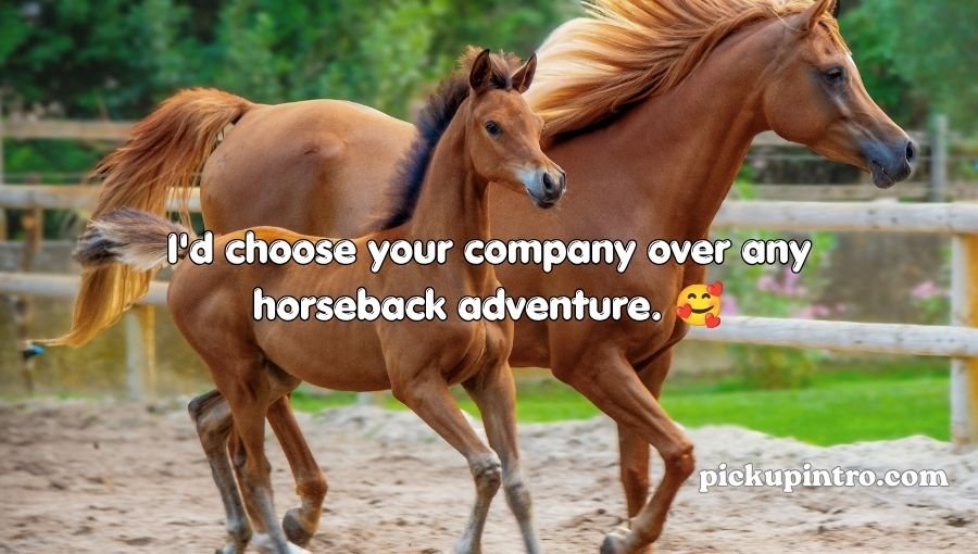 Horse Pick Up Lines
