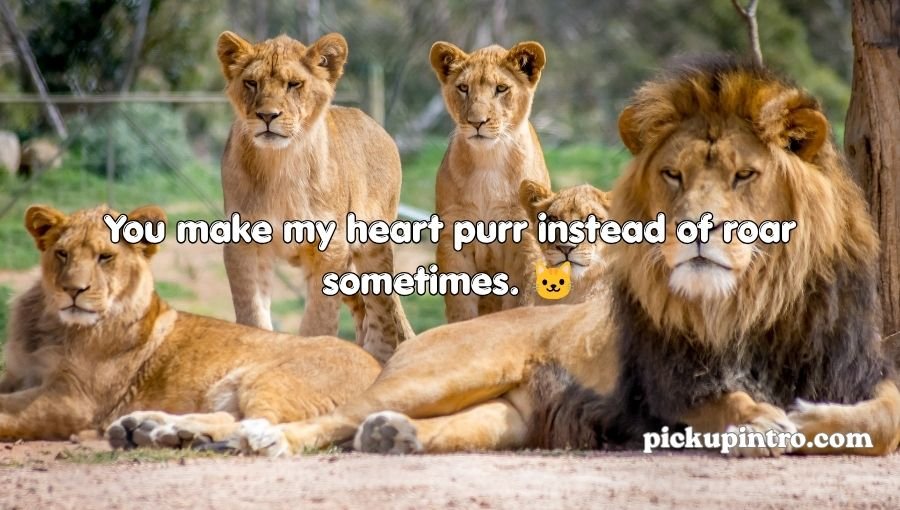 Lion Pickup Lines