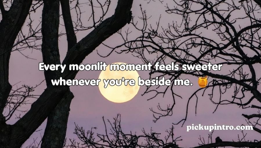 Moon Pick Up Lines