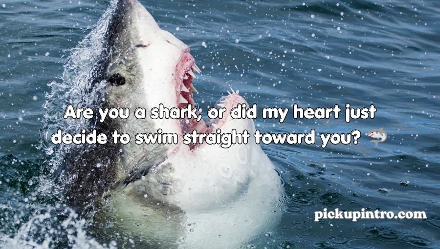Shark Pick Up Lines