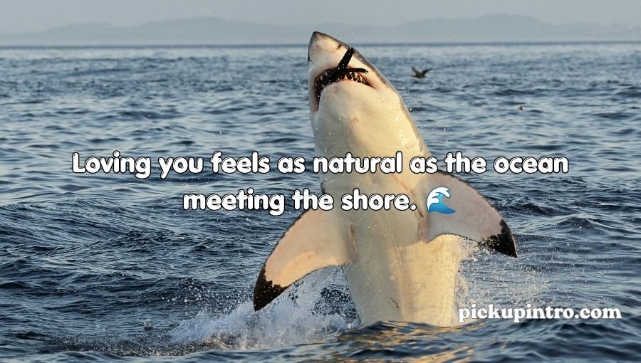 Shark Pick Up Lines