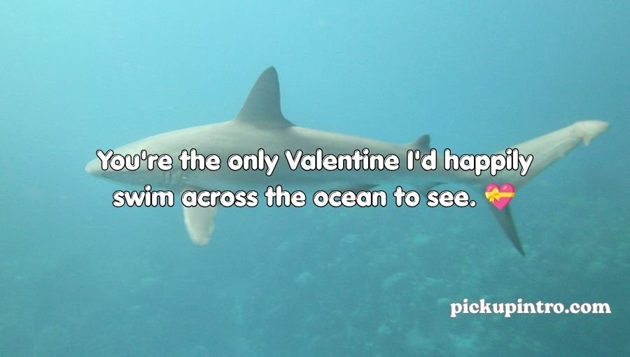 Shark Pick Up Lines