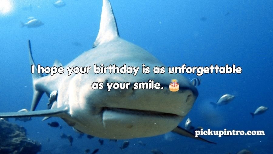 Shark Pick Up Lines