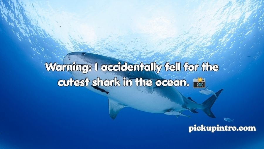 Shark Pick Up Lines