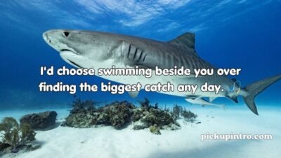 Shark Pick Up Lines