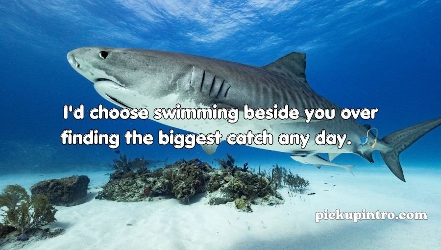 Shark Pick Up Lines