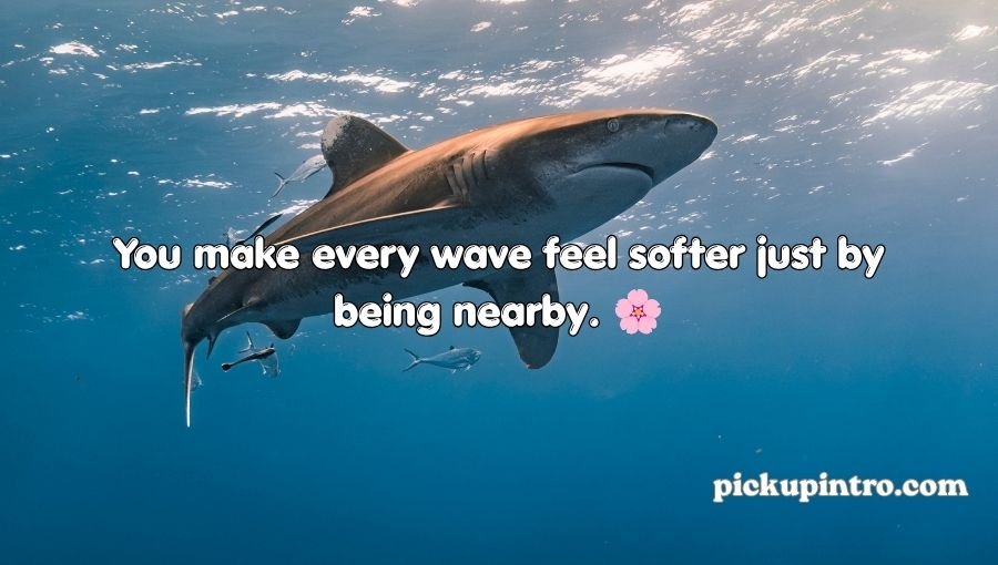 Shark Pick Up Lines