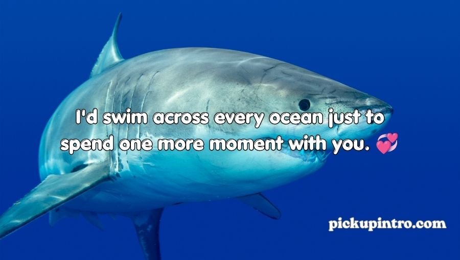 Shark Pick Up Lines
