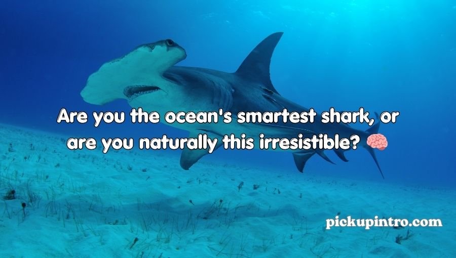 Shark Pick Up Lines