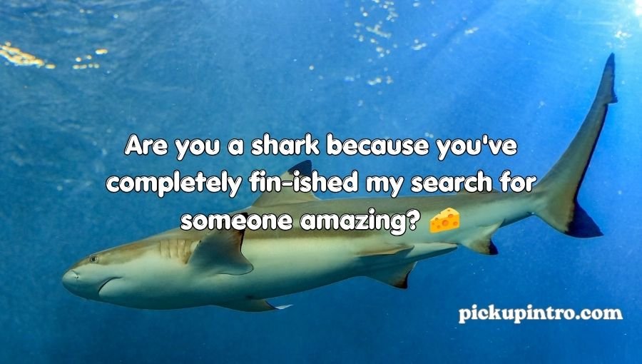 Shark Pick Up Lines