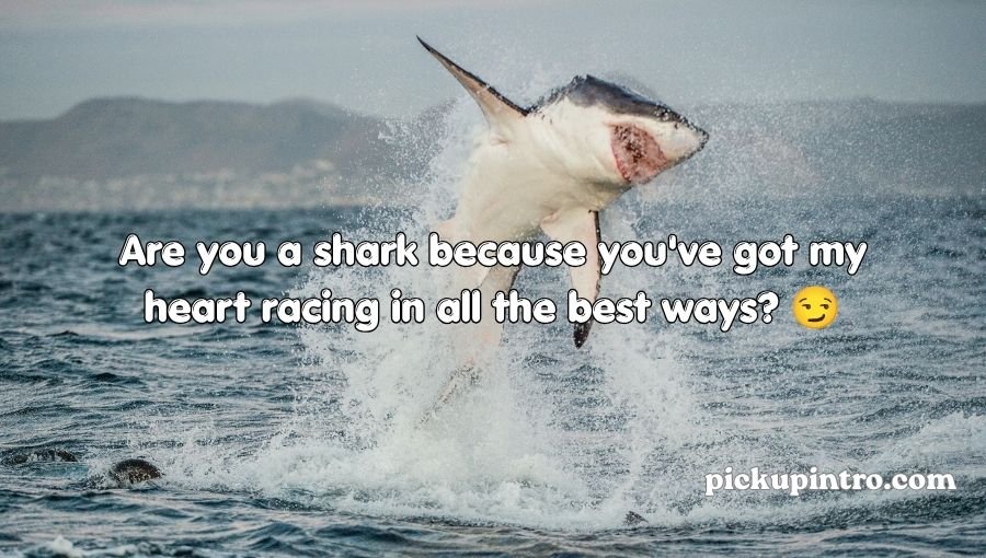 Shark Pick Up Lines