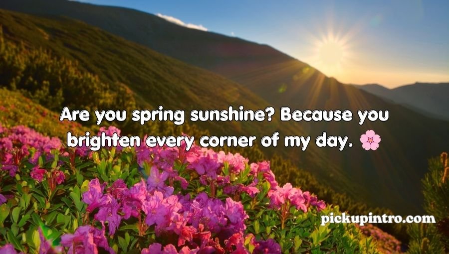 Spring Pick Up Lines