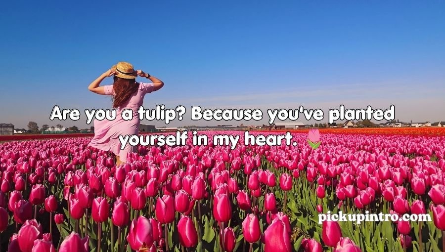 Spring Pick Up Lines