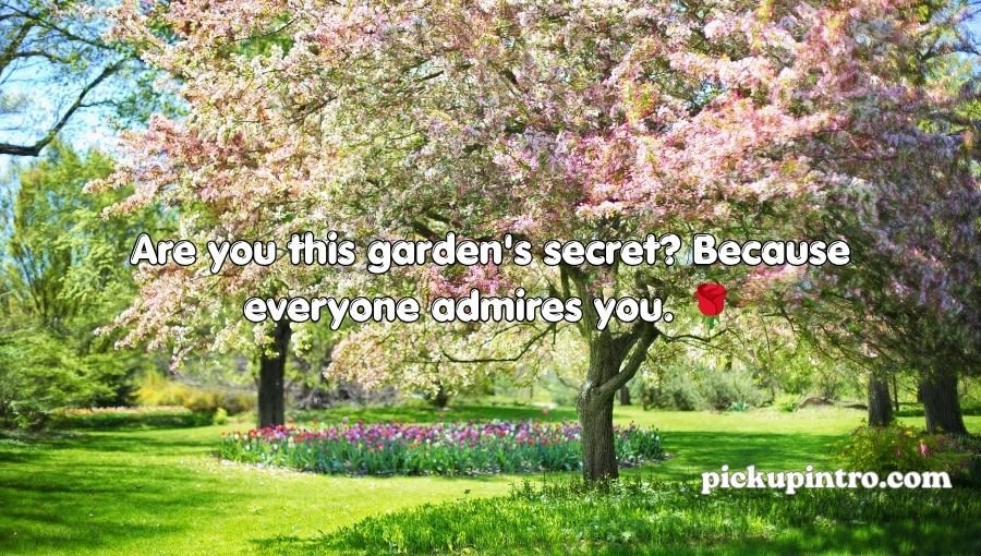 Spring Pick Up Lines