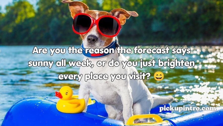 Summer Pick Up Lines