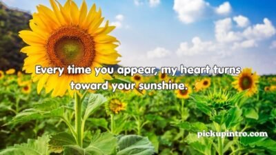 Sunflower Pickup Lines