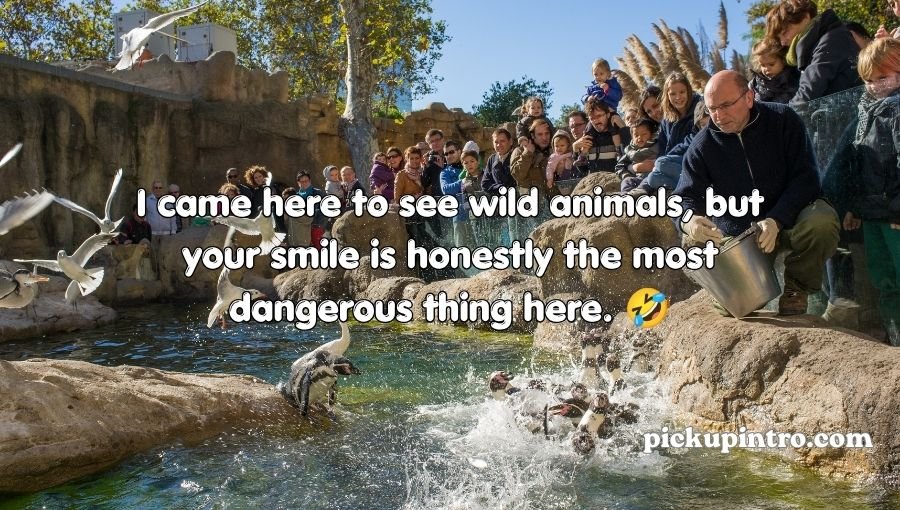 Zoo Pickup Lines