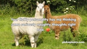 Alpaca Pickup Lines
