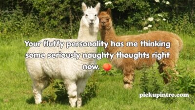 Alpaca Pickup Lines