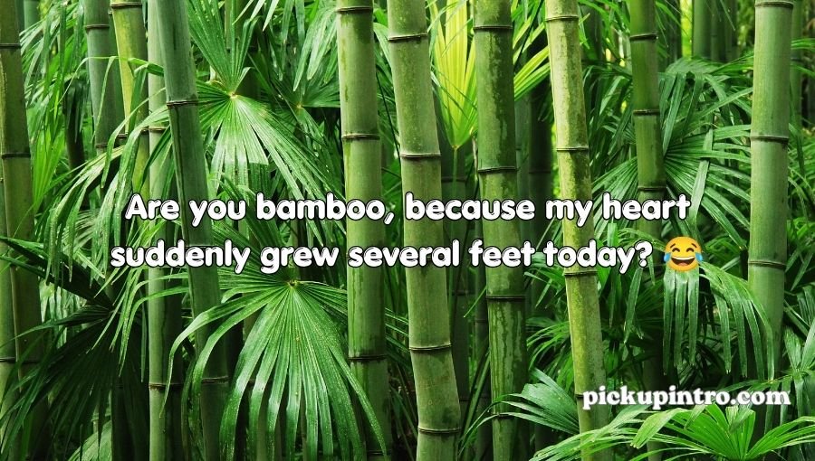 Bamboo plant representing natural charm and playful romance