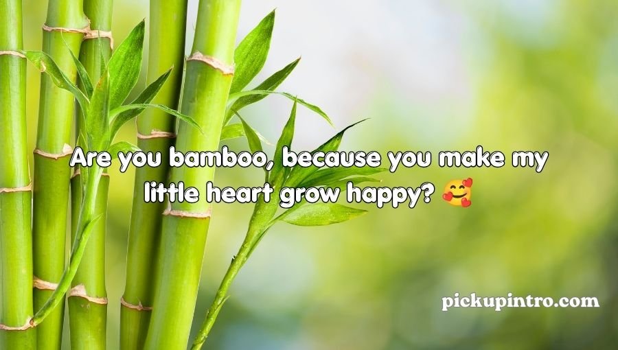 Cute bamboo-themed concept for funny romantic content