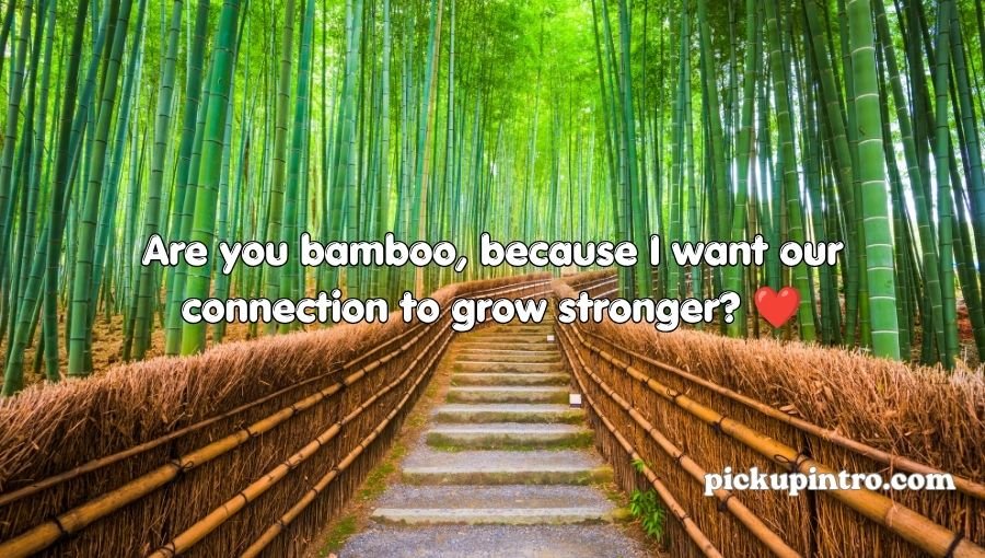 Bamboo garden inspired by creative flirting and romance