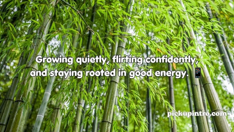 Bamboo Pickup Lines